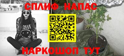 гидра Камышлов
