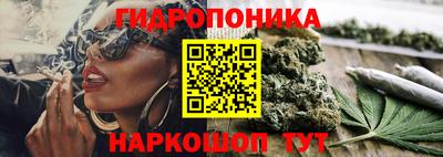 прущие грибы Канаш
