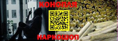 прущие грибы Канаш