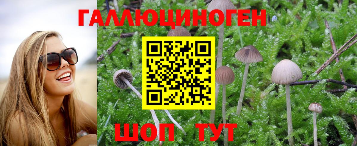Псилоцибиновые грибы Psilocybe  Галлюциногенные грибы ЛСД  Вход с VPN  Кулебаки 